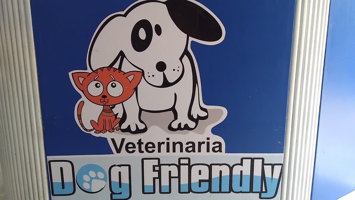 Veterinaria Dog Friendly — foto