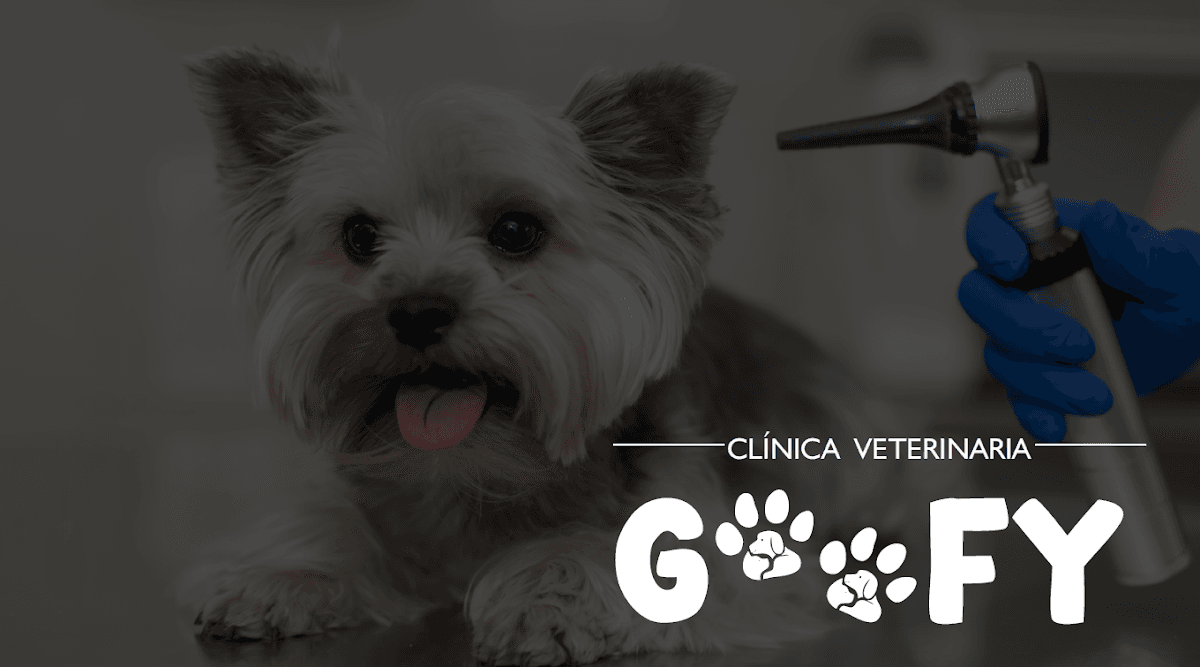 Clínica Veterinaria Goofy