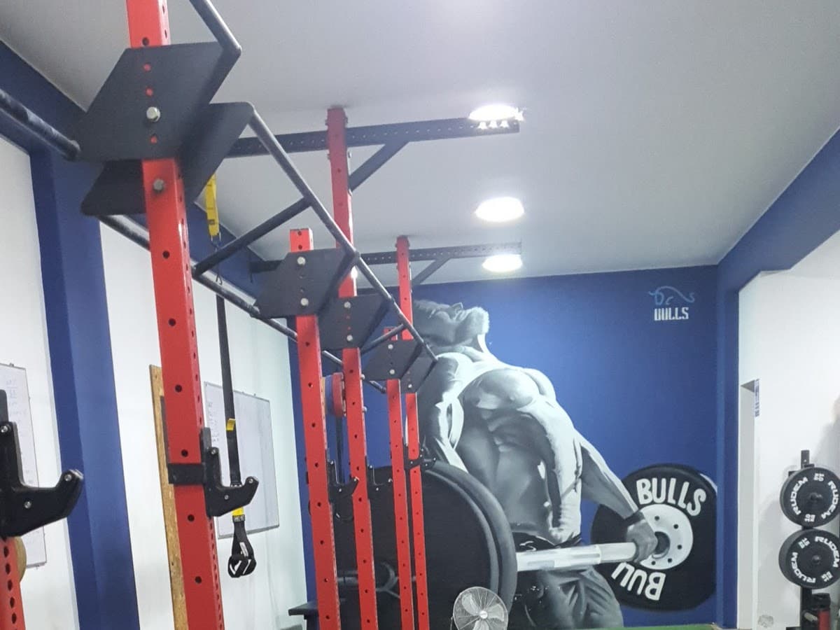 Club de entrenamiento BULLS