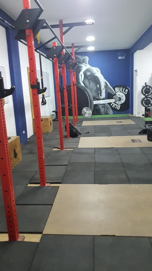 Club de entrenamiento BULLS — foto