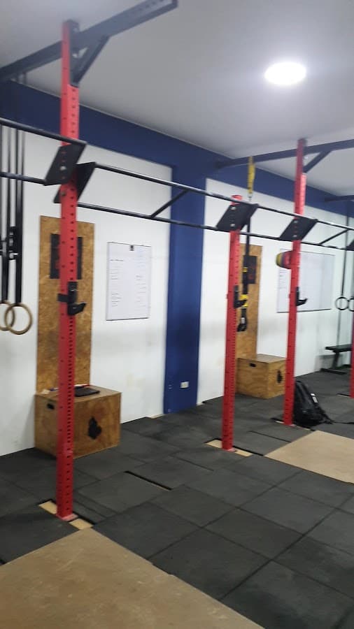 Club de entrenamiento BULLS — foto