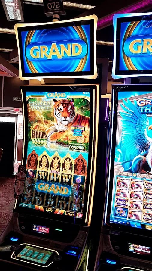 Casino Rio Uniplex Pereira — foto