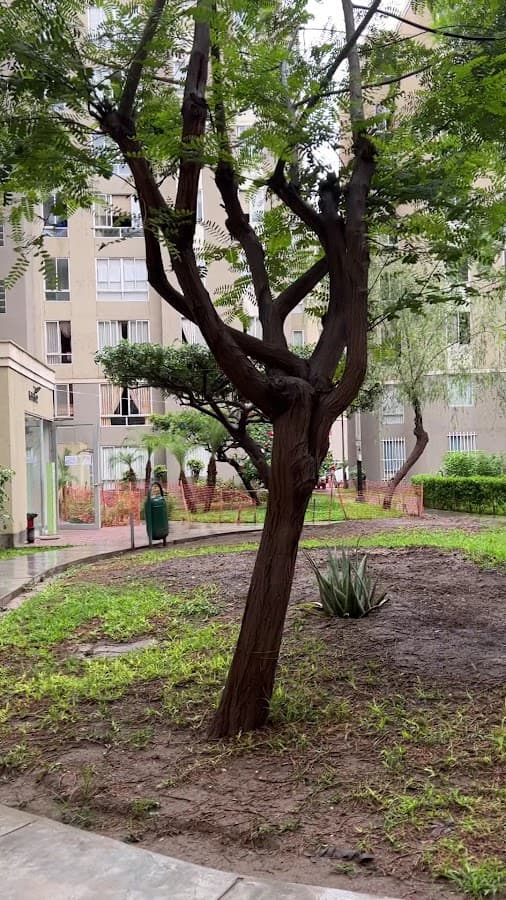 Proyecto Los Parques de San Gabriel | Inmobiliaria Clasem — foto