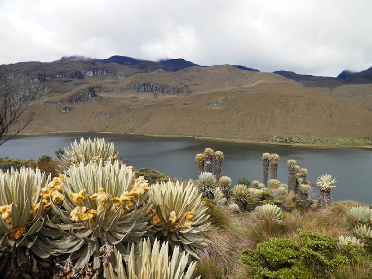 Destinos y Rutas de Colombia | Agencia de viajes operadora | Manizales - Colombia