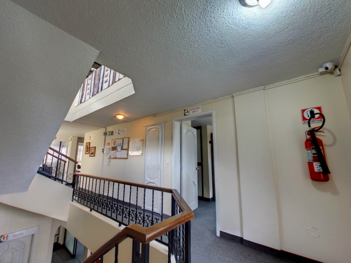 Rehabilitar Matriz — foto