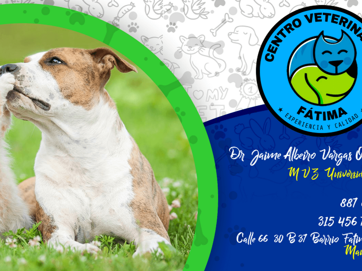 San Agustin Centro Veterinario — foto