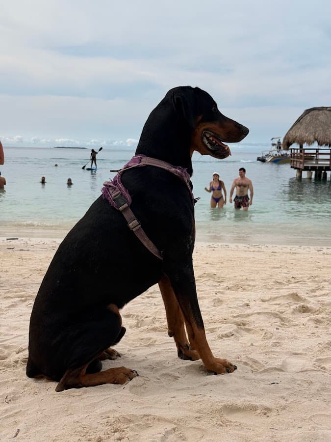 Coco Cartagena Tours — foto