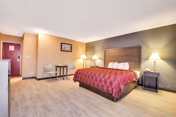 Econo Lodge Tampa near Busch Gardens — foto