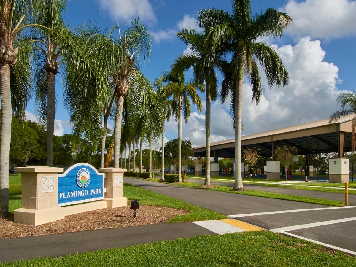Flamingo Park — foto