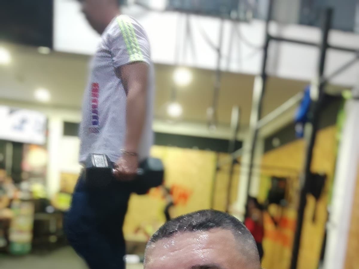 Wolf Training Revolution — foto