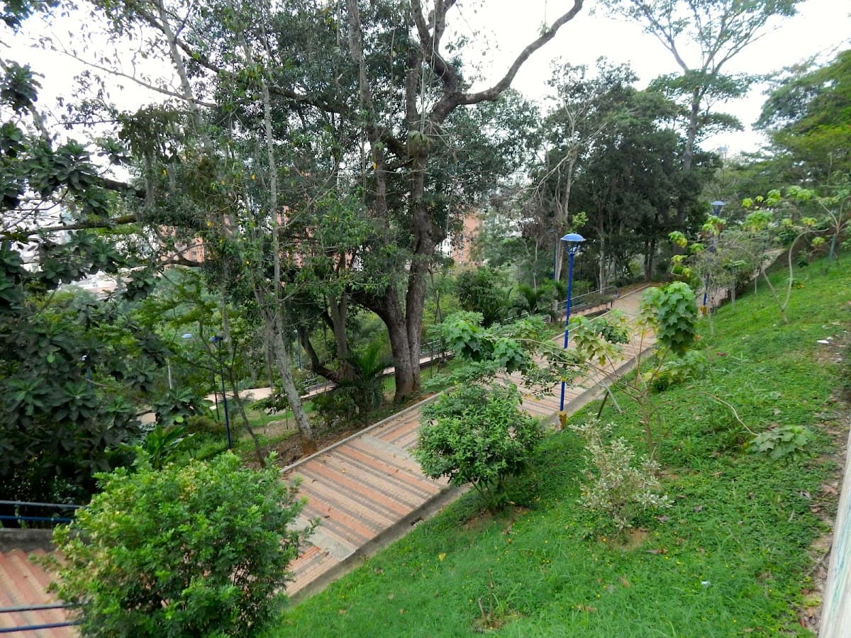 Parque Los Leones