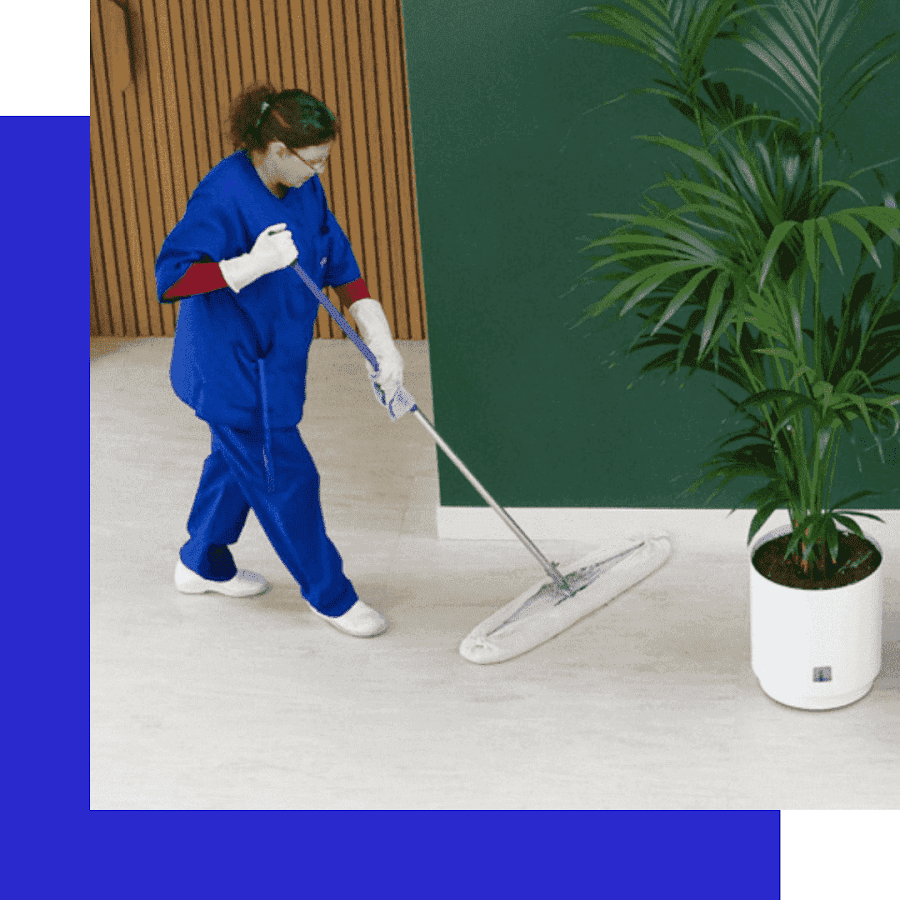 Servicios de Limpieza - Limanca