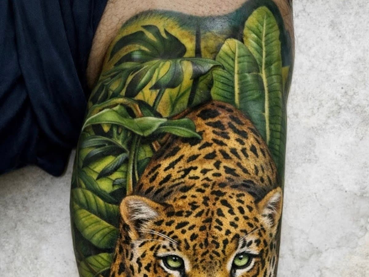 Gato Tattoo — foto