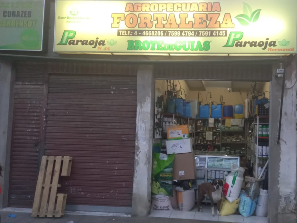 Aseguradora Fortaleza - Sucursal Cochabamba — foto