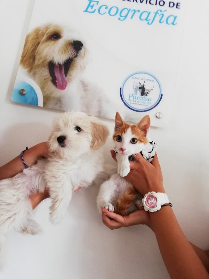 Clínica Veterinaria Paraíso de la Mascota — foto