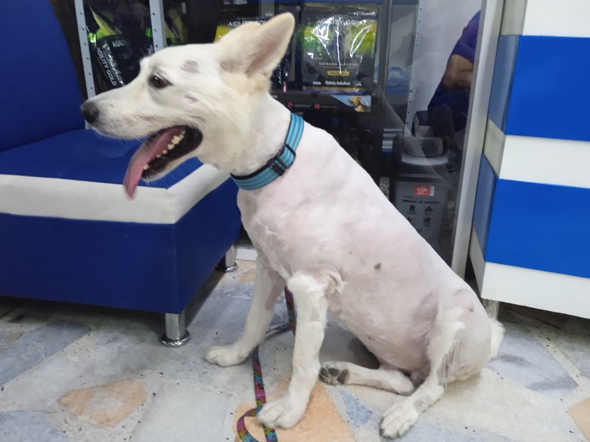 VetMedic Clínica Veterinaria
