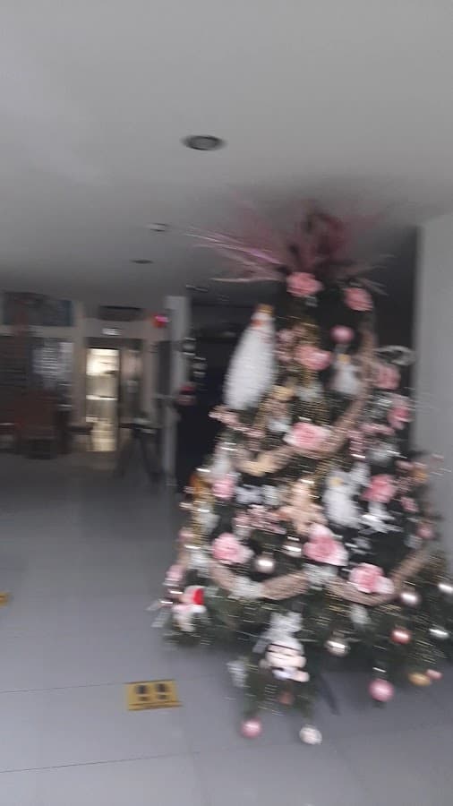 MH Hotel Pereira — foto