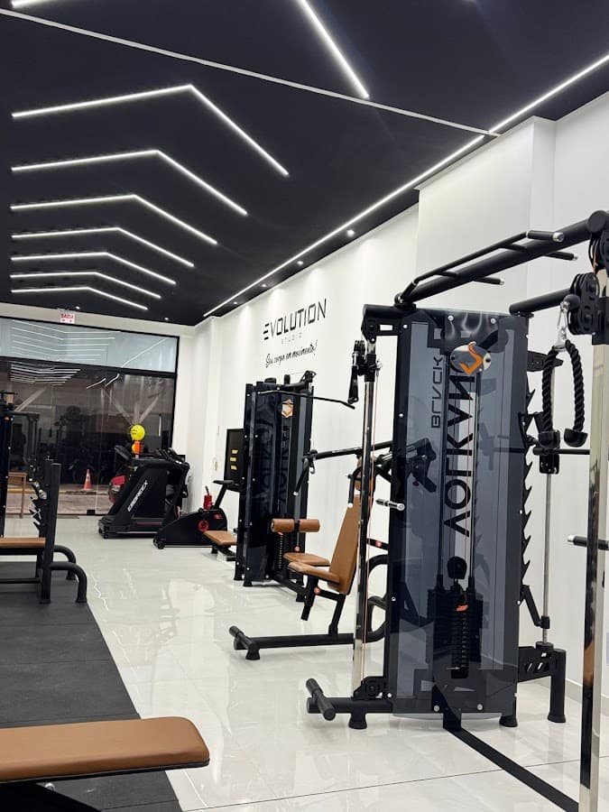 Evolution Studio