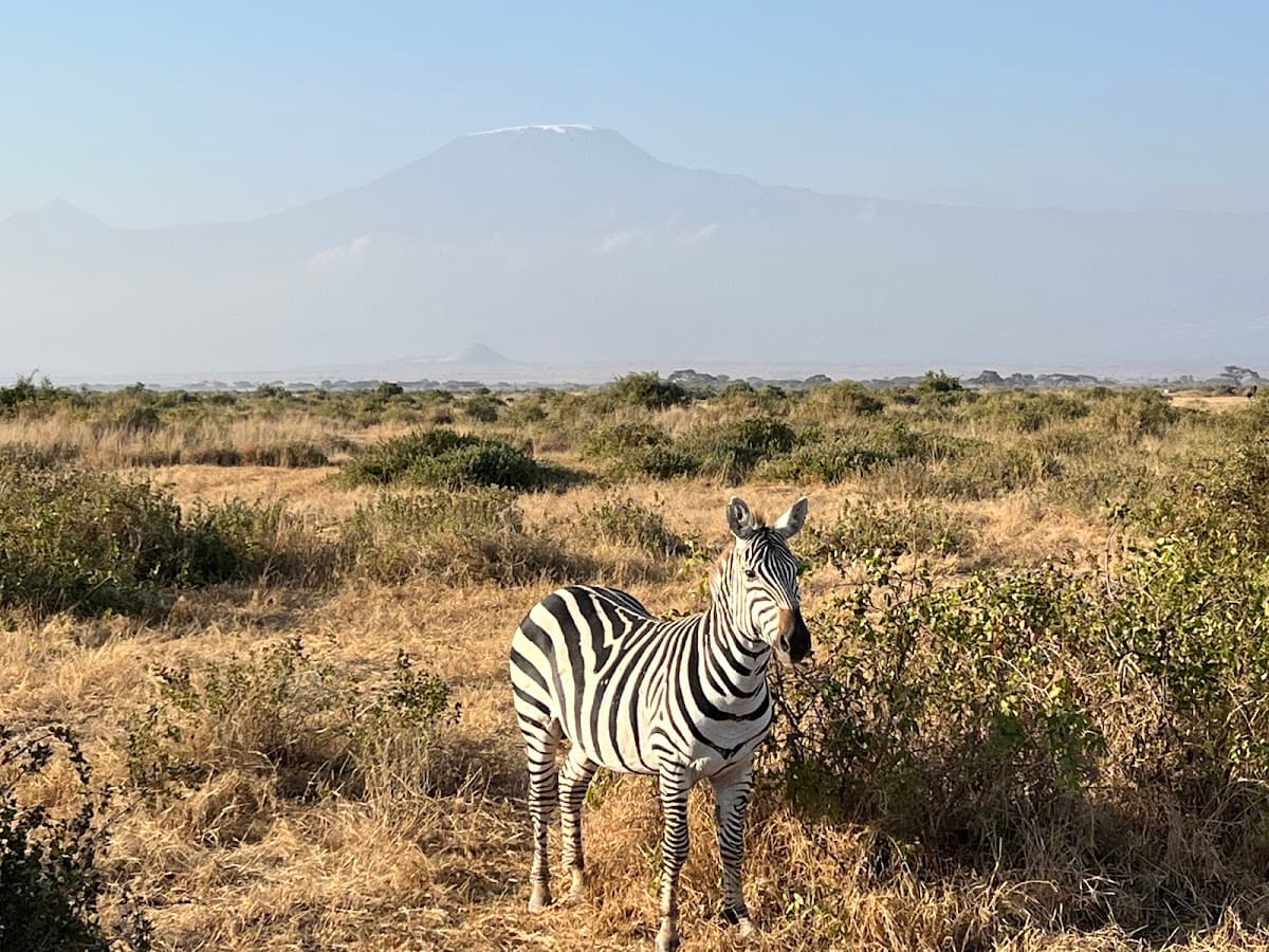 The Africa Adventure Company