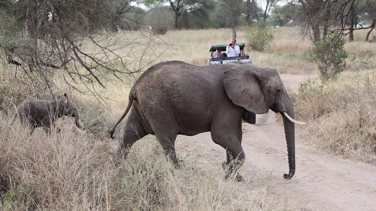 The Africa Adventure Company — foto