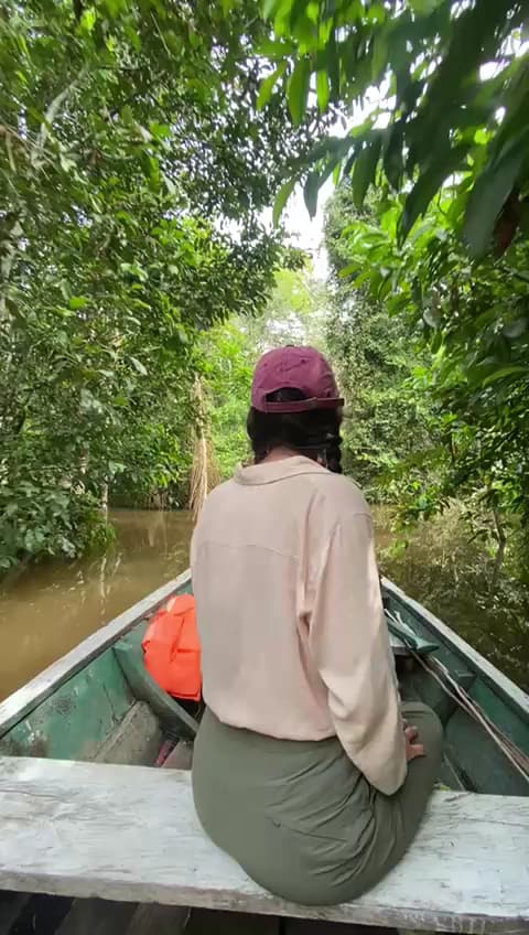 PAMACARI AMAZON TOURS — foto