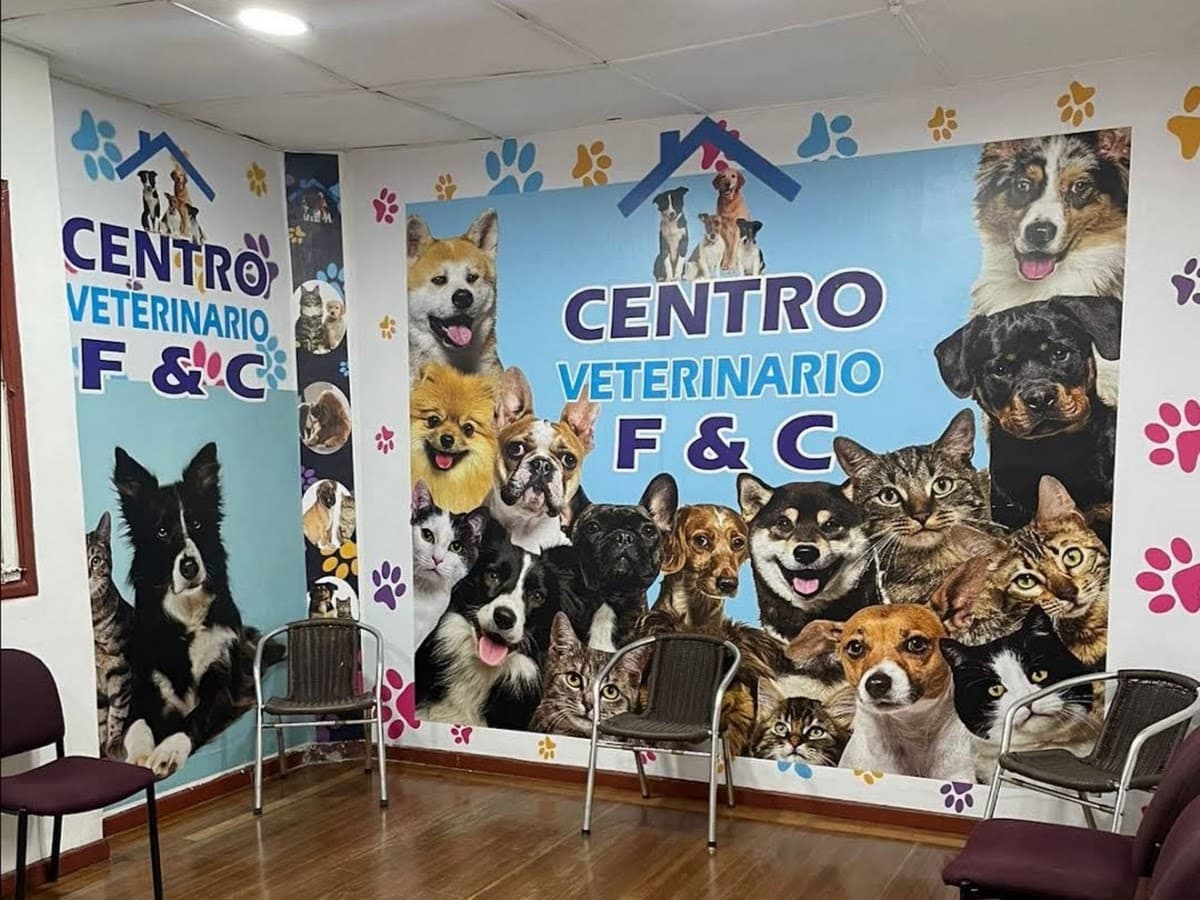 Canes & Compañía - Medicina Veterinaria — foto