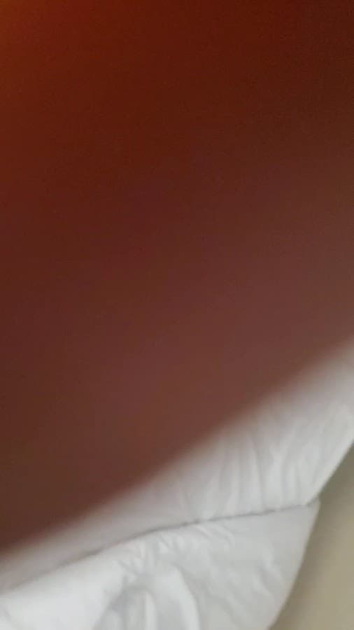 Red Roof PLUS+ Jacksonville - Southpoint — foto