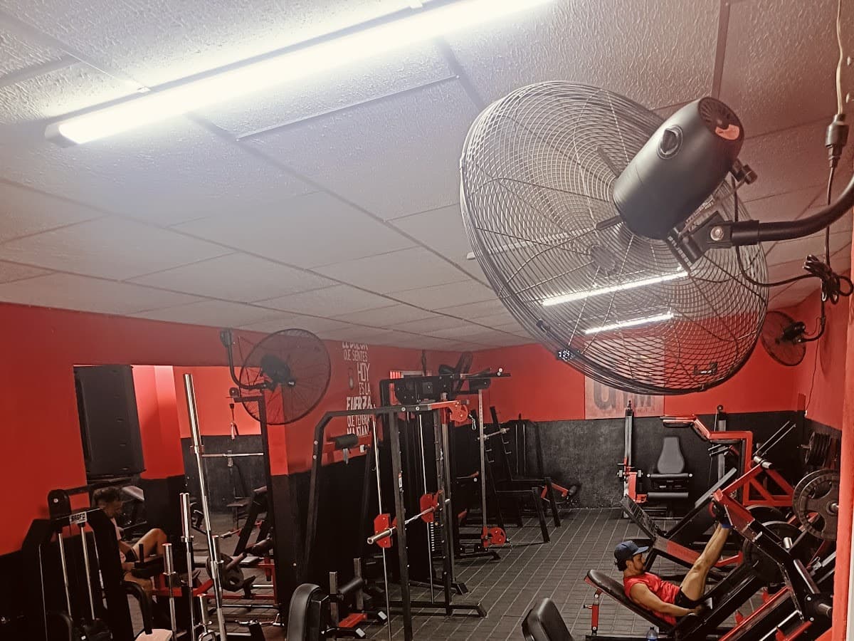 Emalextian gym