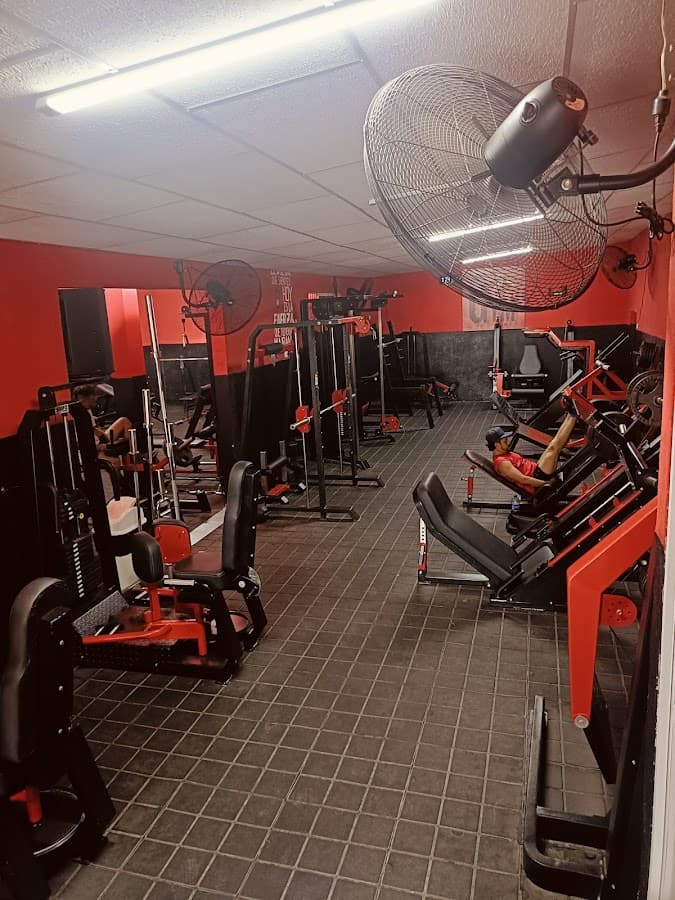 Emalextian gym — foto