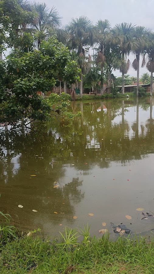 WAKAYA ECOLODGE — foto
