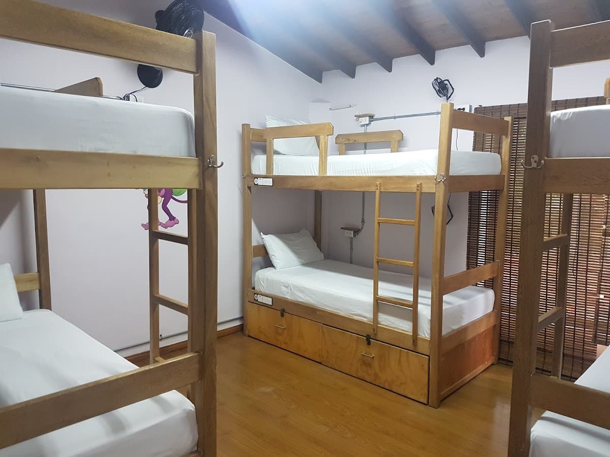 Purple Monkey Hostel — foto