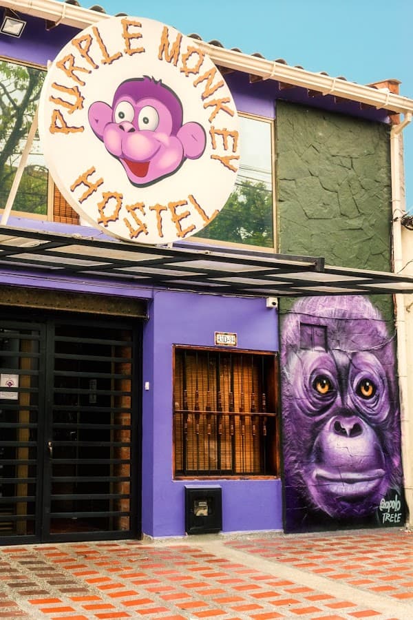 Purple Monkey Hostel — foto
