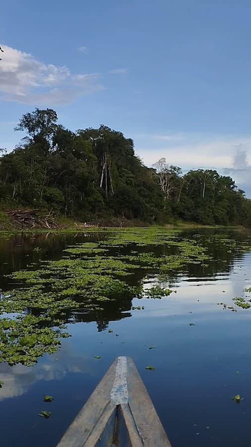Amazon Wonder Expeditions — foto