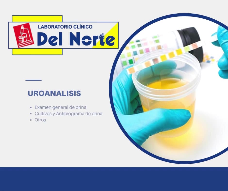 Laboratorio Clinico Del Norte — foto