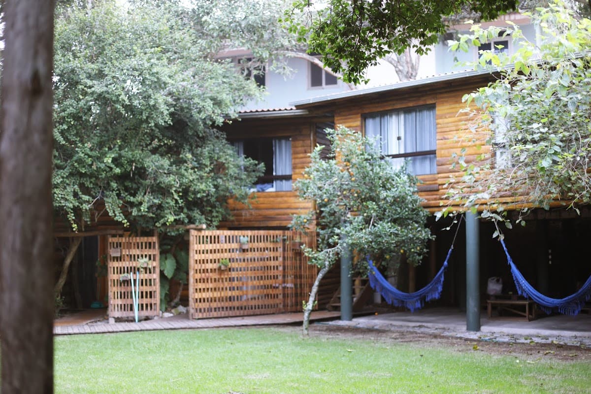 The Search House