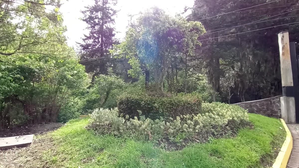 Parque Metropolitano La Armenia — foto