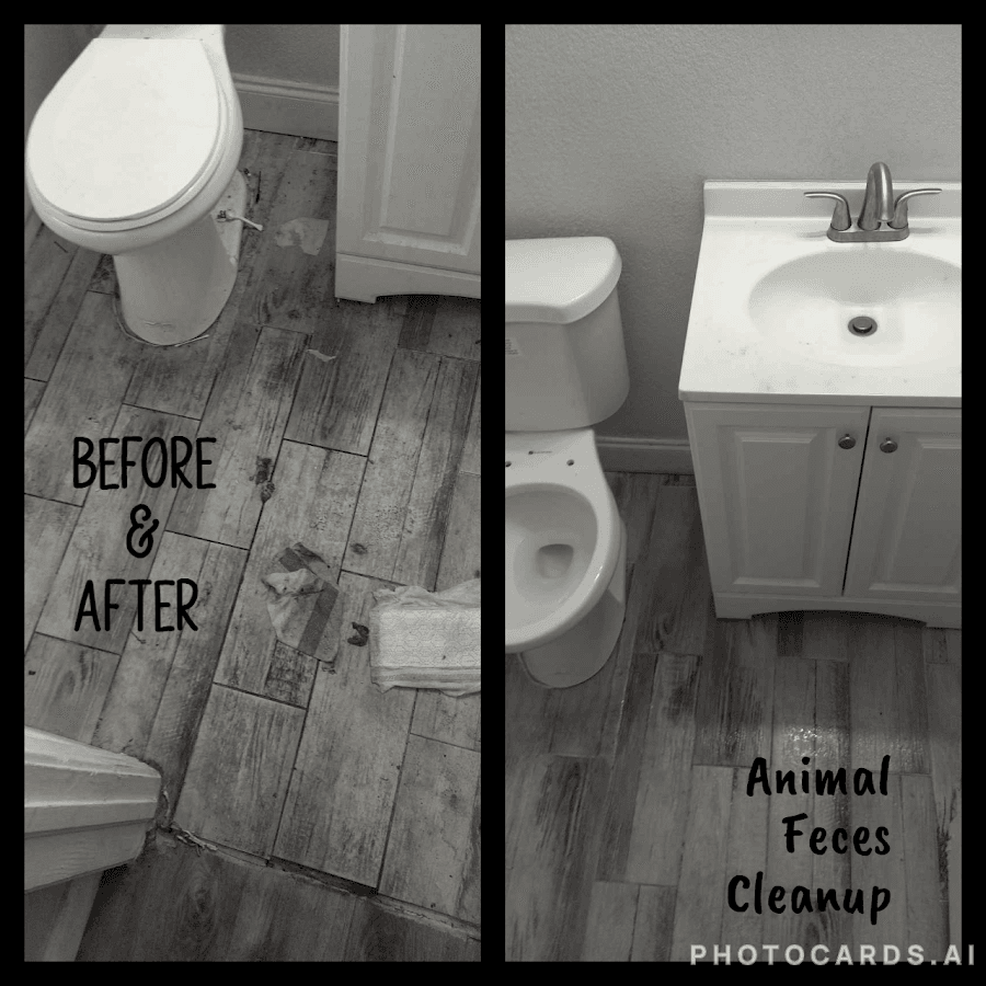 Florida Emergency Cleaning West Palm Beach — foto