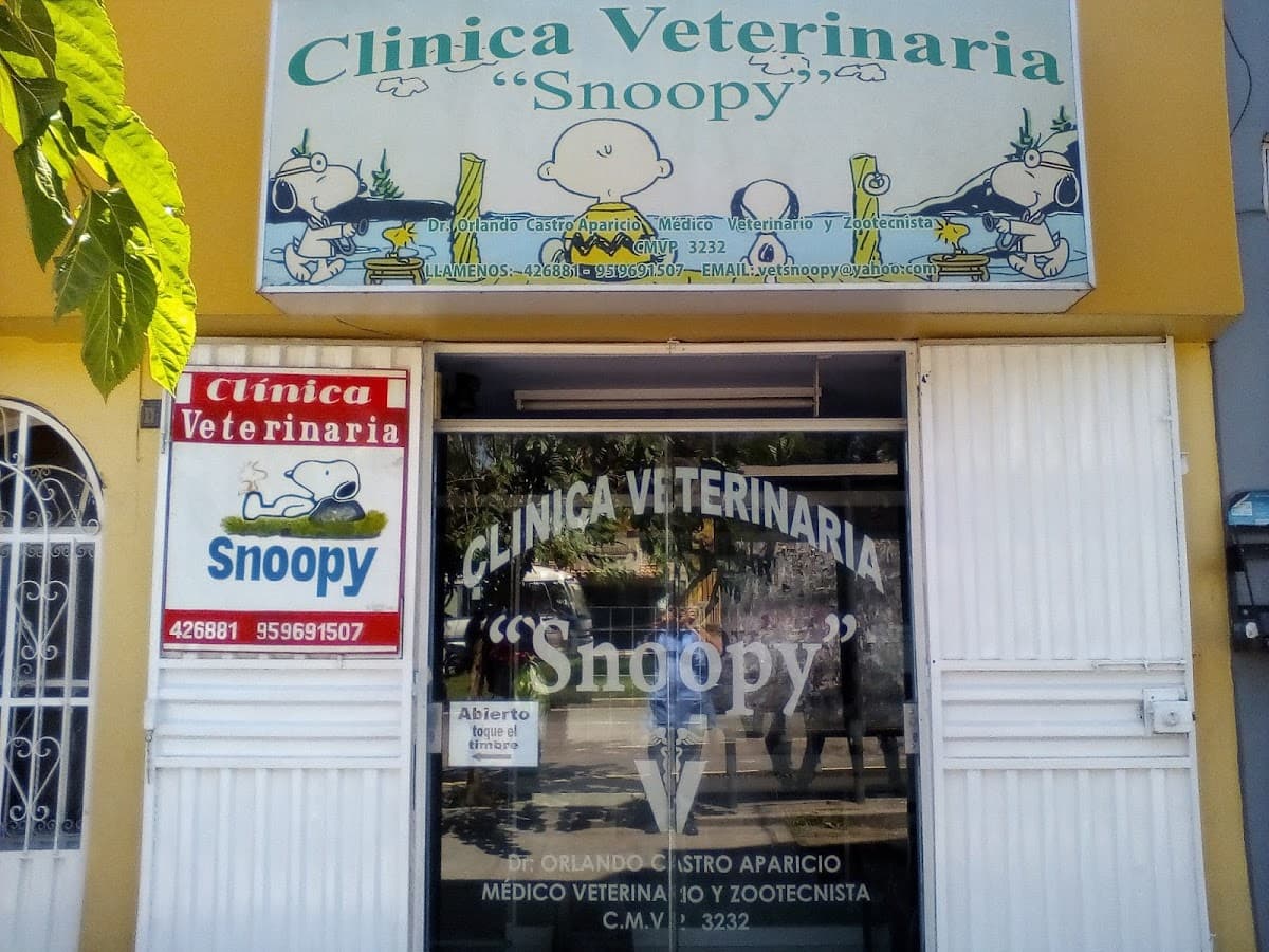 Clínica Veterinaria Snoopy