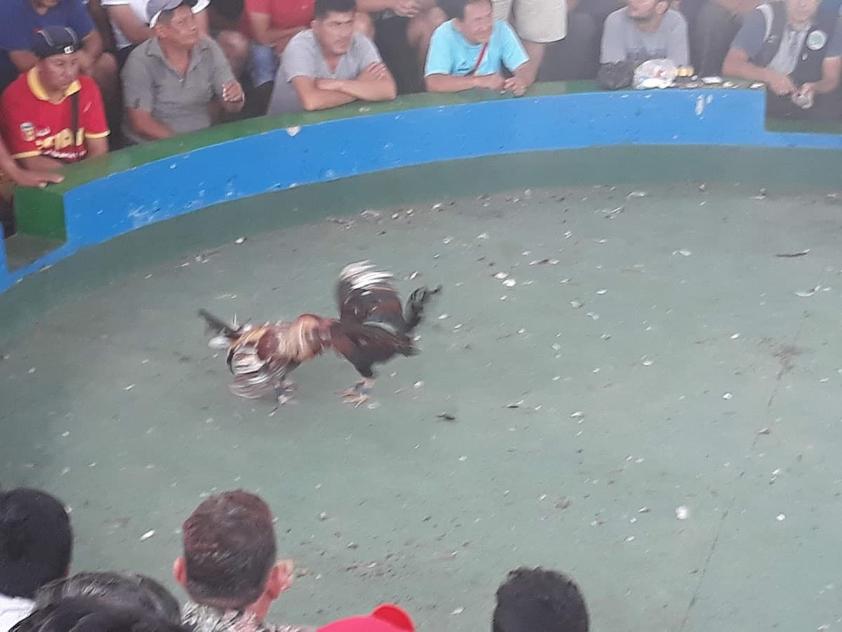 El Ramadón