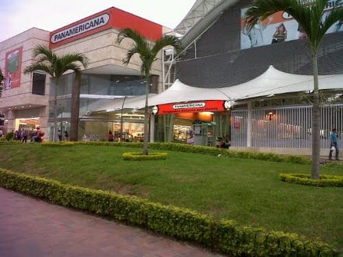 Panamericana Ibagué