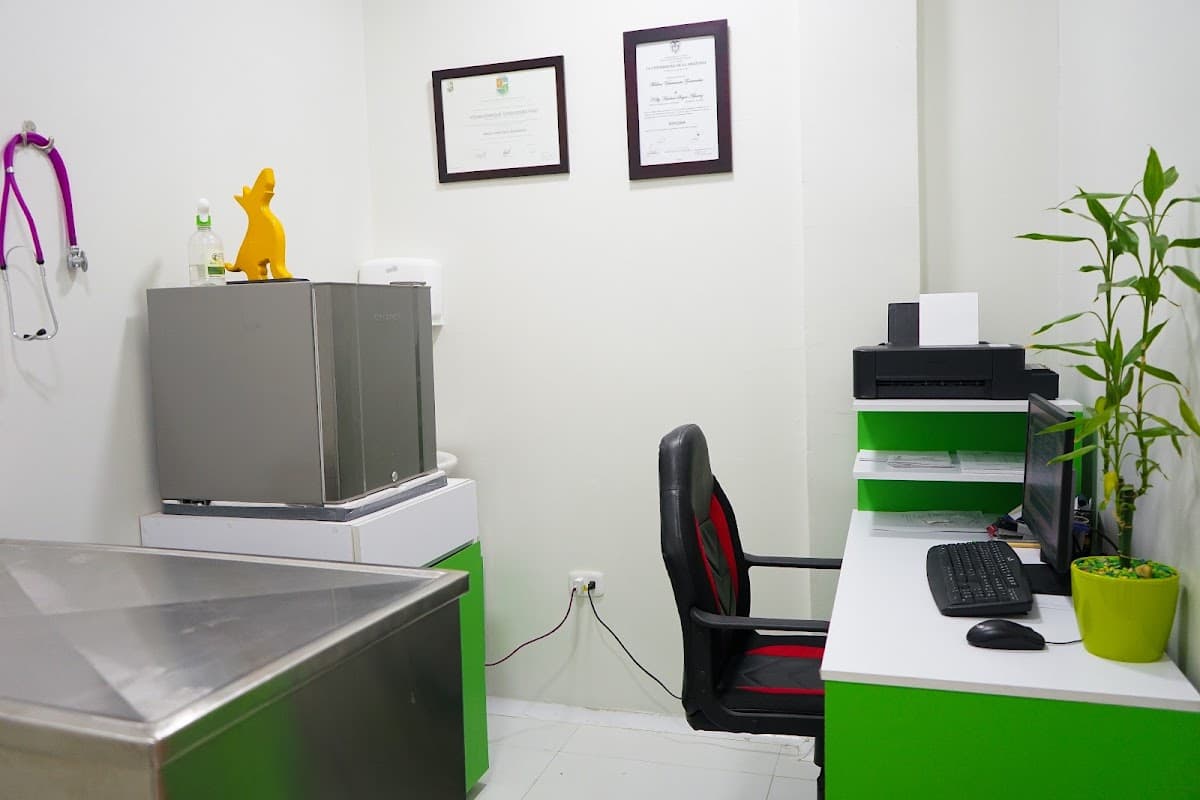 MASCOCLINICA CLINICA VETERINARIA — foto