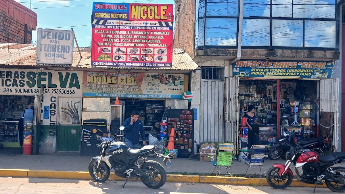 Autorepuestos Y Servicios Multiples Nicole E.i.r.l
