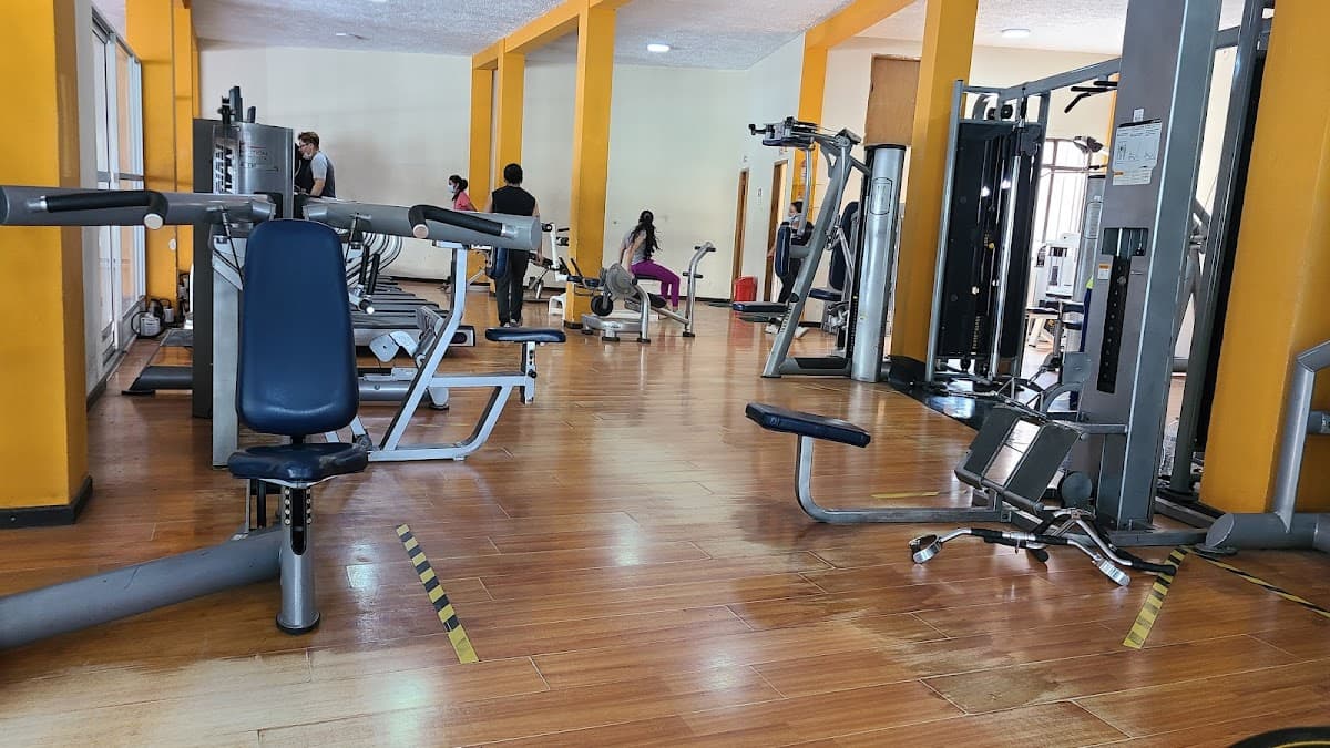 GIMNASIO NO LIMITS VILLARROEL