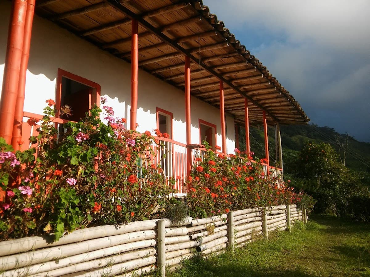 Café Tío Conejo. Finca