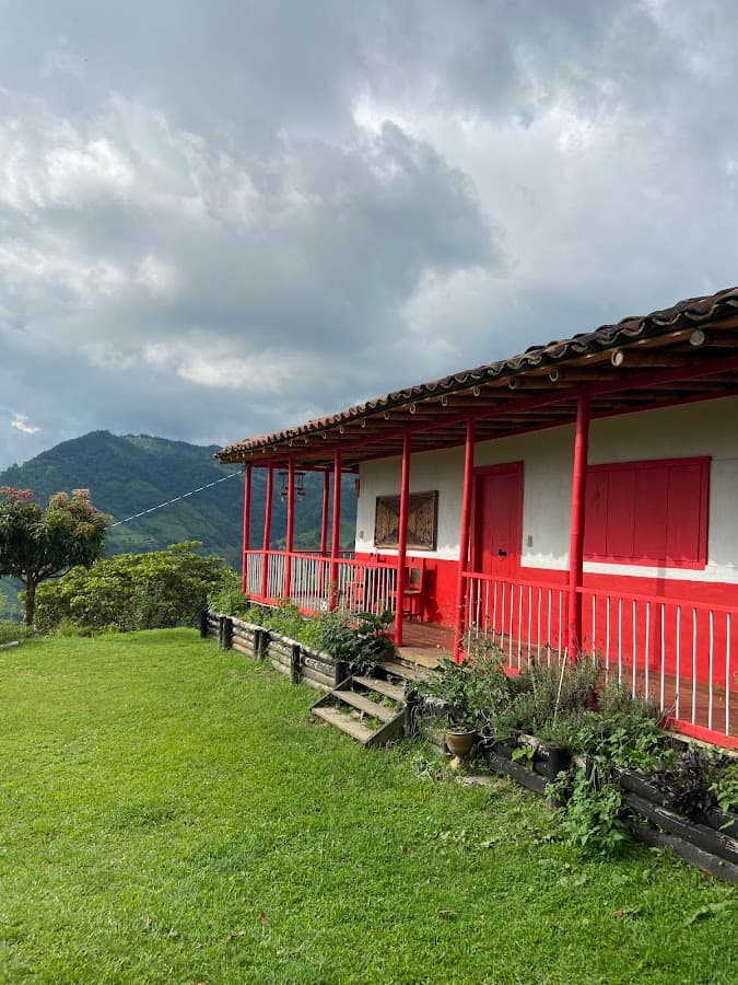 Café Tío Conejo. Finca — foto