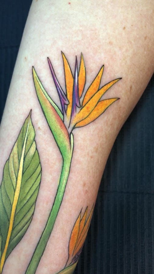 Vinsant Lopez Tattoo florianopolis — foto