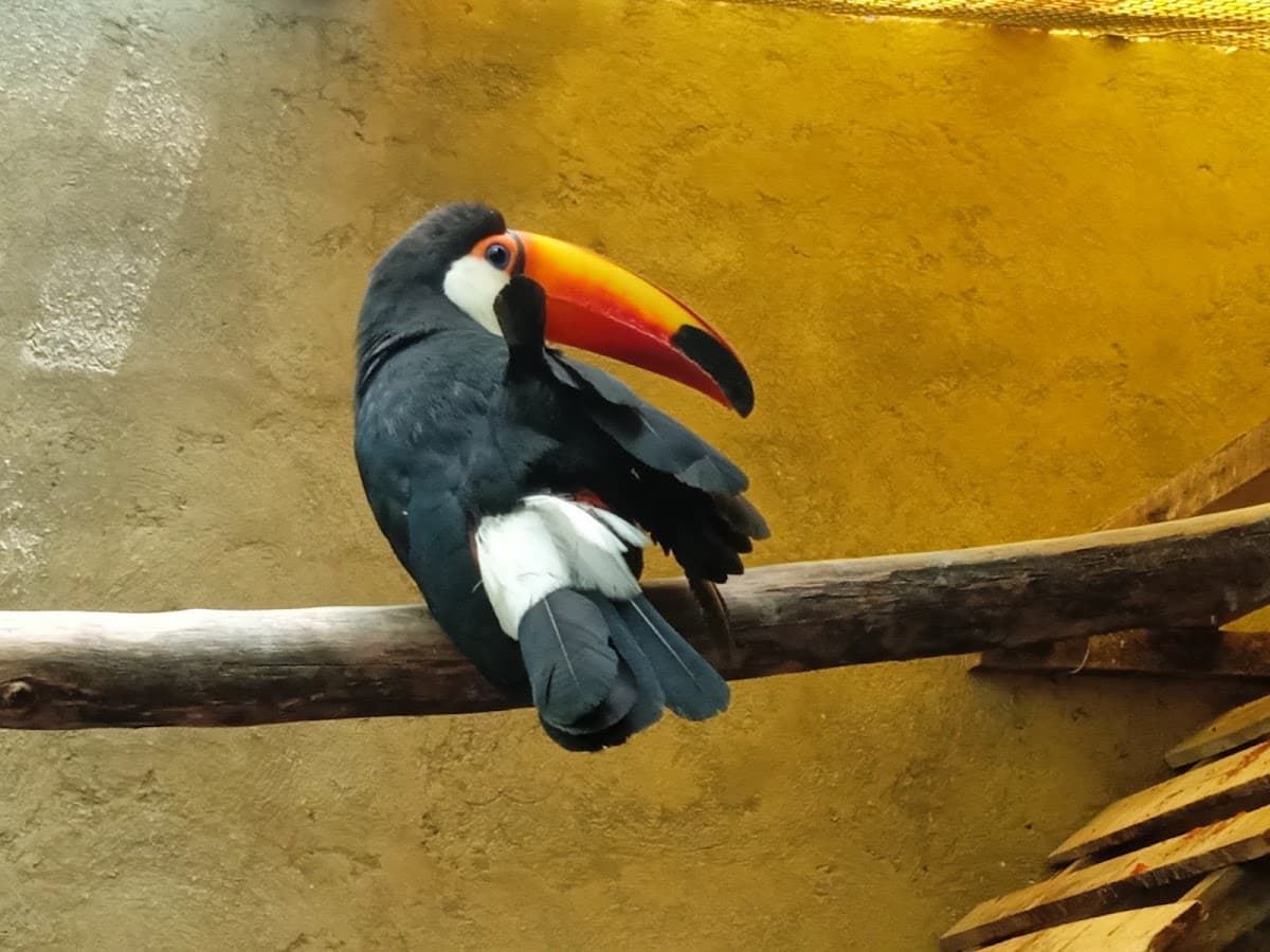 Bioparque Agroflori