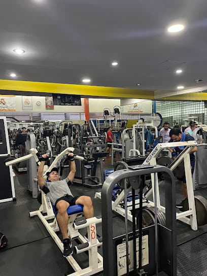 Gym Fitness — foto