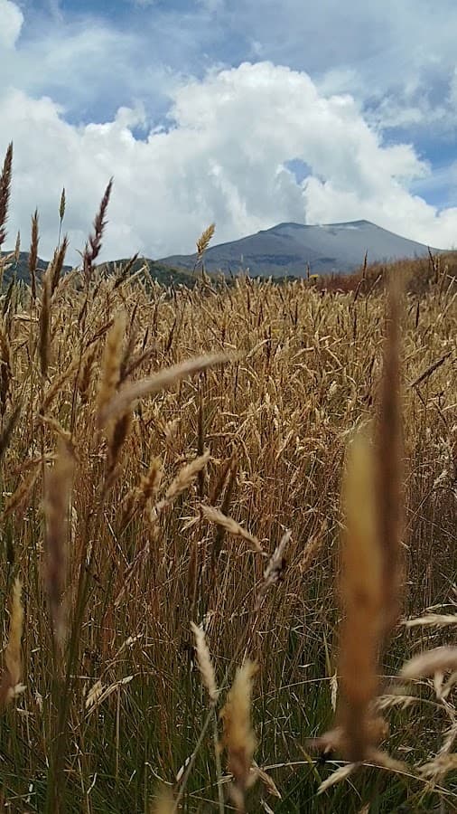 Parque Nacional Natural de Puracé — foto