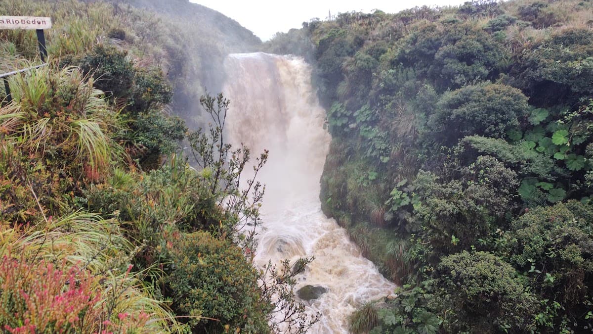 Parque Nacional Natural de Puracé — foto